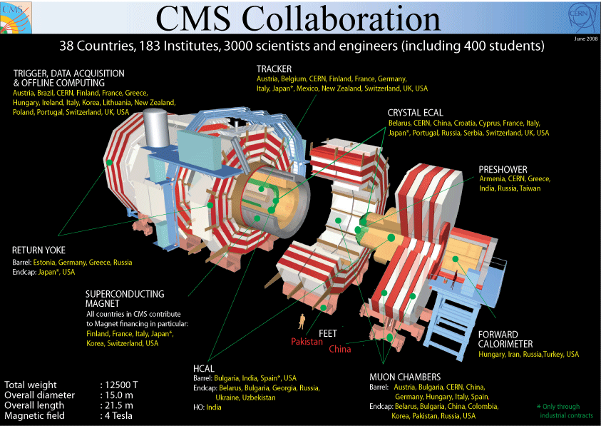 Detector y Colaboracion CMS 
